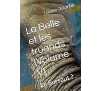 La Belle et les truands (Volume V): Le Sursaut ?