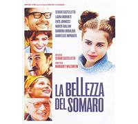 La Bellezza Del somaro – Warner Bros. – PAL Région 2 – Import (Italie)