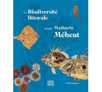 La Biodiversité Littorale Vue Par Mathurin Méheut