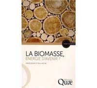 La biomasse, énergie d'avenir ? Hervé Bichat (Auteur), Paul Mathis (Auteur)