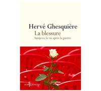 La Blessure - Sarajevo, La Vie Après La Guerre