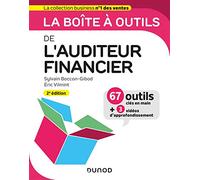 La boite à outils de l'auditeur financier - 2e éd.