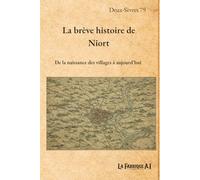 La brève histoire de Niort: De la naissance des villages à aujourd'hui