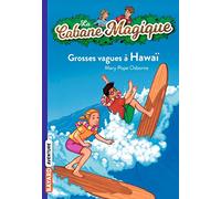 La cabane magique, Tome 23: Grosses vagues à Hawaï