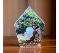 La Camargue Dejama détecteur de Mouvement boîte à Chant capteur de Mouvement bruits d'oiseaux