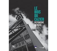 La catastrophe du Bois du Cazier
