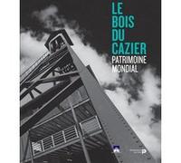 La catastrophe du Bois du Cazier