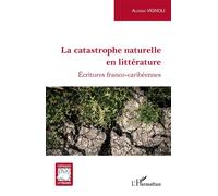 La catastrophe naturelle en littérature Écritures franco-caribéennes - Alessia Vignoli - L'harmattan - broché - Essai