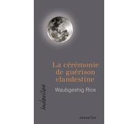 La cérémonie de guérison clandestine - Waubgeshig Rice - David - broché - Nouvelles
