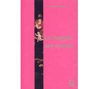 La chapelle aux oiseaux - Vincent De Swarte - Pauvert - broché - Roman