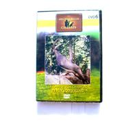 La chasse aux chamois et aux bouquetins vol 6