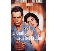 La Chatte sur un toit brûlant – DVD – Warner Bros.