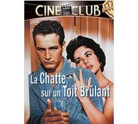 La Chatte sur un toit brûlant – DVD – Warner Bros.