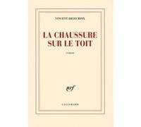 La chaussure sur le toit Vincent Delecroix (Auteur)