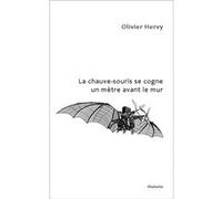La chauve-souris se cogne un mètre avant le mur HERVY Olivier (Auteur)