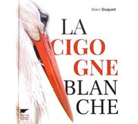 La Cigogne blanche