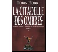 La Citadelle des Ombres, tome 1