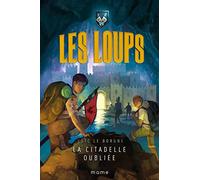 La citadelle oubliée