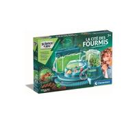 La cité des fourmis