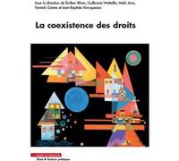 La coexistence des droits Emilien Rhinn (Auteur), Guillaume Wattellin (Auteur), Yannick Ganne (Auteur), Jean-Baptiste Varoqueaux (Auteur)