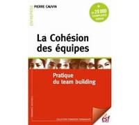 La cohésion des équipes Pierre Cauvin (Auteur)