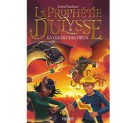 La colère des dieux - David Pouilloux - Fleurus - broché - Roman junior