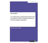 La collaboration interprofessionnelle dans le secteur de santé. Un facteur de lien au sein des équipes soignantes