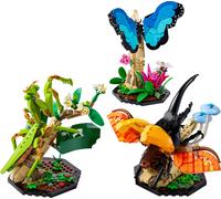 La collection d'insectes