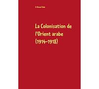 La Colonisation de l'Orient arabe (1914-1918): Des Accords Sykes-Picot à la Déclaration Balfour