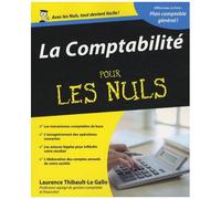 La Comptabilité Pour Les Nuls - Avec Plan Comptable Général