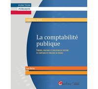 la comptabilité publique: THÉORIE, PRATIQUE ET ÉVOLUTION DU SYSTÈME DE COMPTABILITÉ PUBLIQUE EN FRANCE