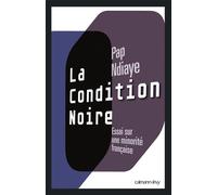Pap Ndiaye – La Condition noire – Essai sur une minorité française – Broché