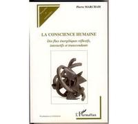 La Conscience Humaine – Des Flux Énergétiques Réflexifs, Interactifs Et Transcendants – L'Harmattan