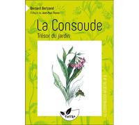 La consoude, trésor du jardin