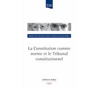 La Constitution comme norme juridique...