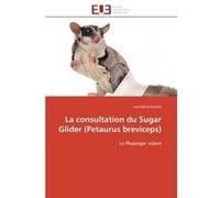 La consultation du sugar glider (petaurus breviceps) Ravelet-L (Auteur)