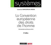 La Convention Européenne Des Droits De L'homme - Commentaire Article Par Article