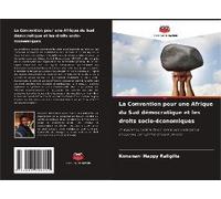 La Convention Pour Une Afrique Du Sud Démocratique Et Les Droits Socio-Économiques