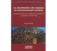 La coordination des équipes en environnement extrême: Pratiques de travail et usages technologiques en situation d'incertitude