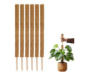 La Cordeline Lot 6 Tuteurs Plante Grimpante 90cm, Support Coco Naturel, Extension tuteur pour Monstera, Jardin, Plante Maison, Marron