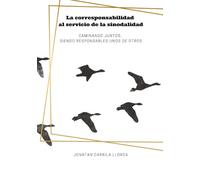 La corresponsabilidad al servicio de la sinodalidad: Caminando juntos, siendo responsables unos con otros