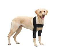 La coudière pour chien est adaptée pour soutenir le coude et les épaules, les troubles du développement, l'arthrose (M)