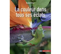 La couleur dans tous ses éclats