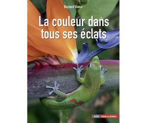 La couleur dans tous ses éclats - Bernard Valeur - Belin - broché - Essai