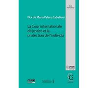 La Cour internationale de justice et la protection de l'individu