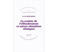La crainte de l'effondrement et autres situations cliniques