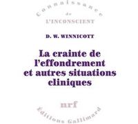 La crainte de l'effondrement et autres situations cliniques – Gallimard