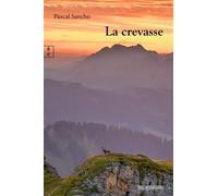 La crevasse - Pascal Sancho - Complicites Eds - broché - Roman