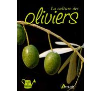 La culture des oliviers