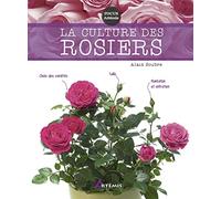 La culture des rosiers